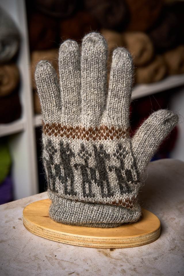 Guantes · familia visual documentada, detalle
